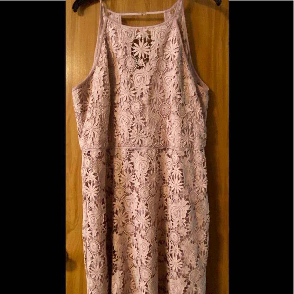 WHBM lace knee length dress